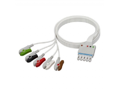 5 li ekg lead 5 li ekg lead